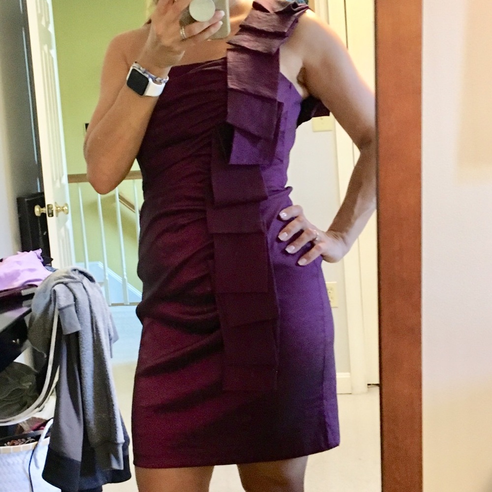 Plum Sash Dress from Cache